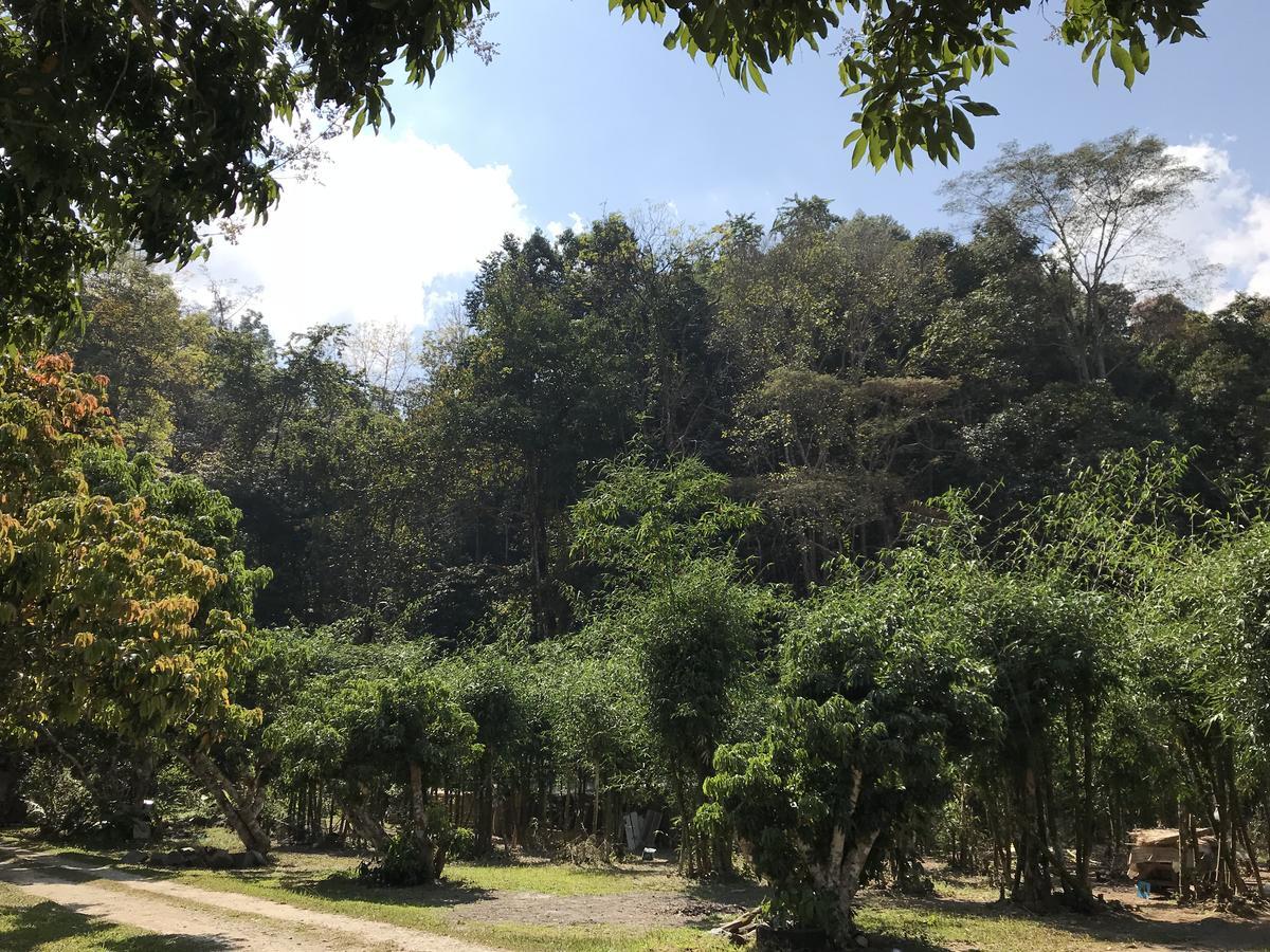 สวนฉัน Igarden Hotell Ban Pang Champi Exteriör bild
